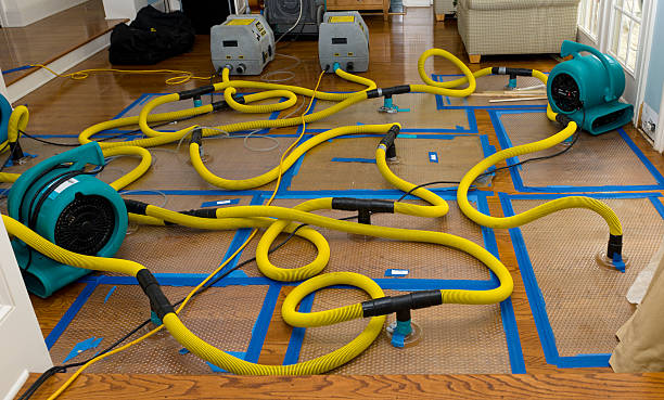 Professional Burst Pipe Water Damage technician working in Landing, NJ